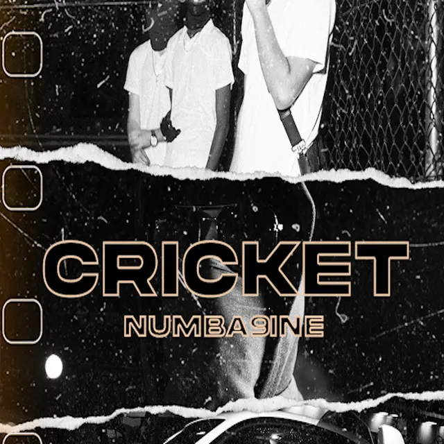 Cricket