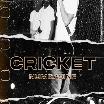 Cricket by Numba9ine