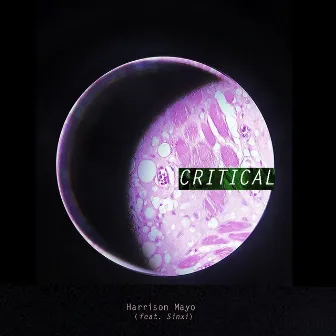 Critical by Harrison Mayo