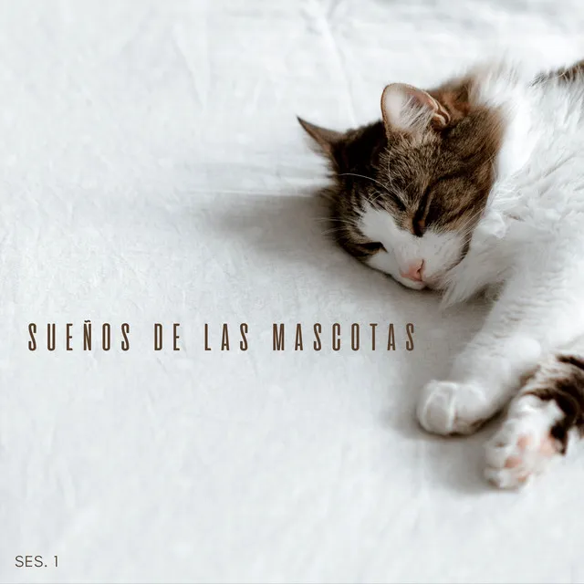 Sueños De Las Mascotas Ses. 1