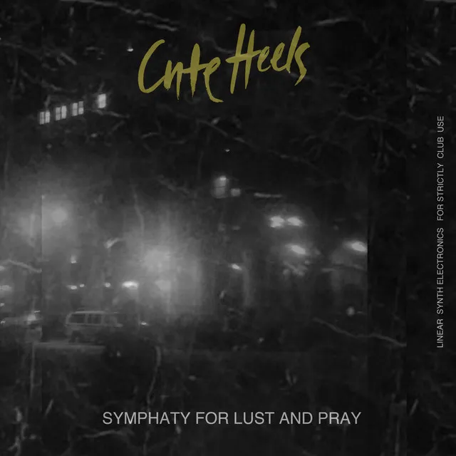 Symphaty For Lust And Pray