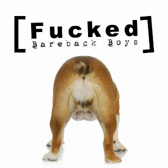 Fucked by Bareback Boys