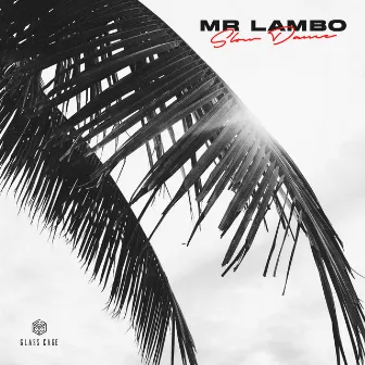 Slow Dance by Mr Lambo