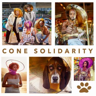 Cone Solidarity by Pillow Fight