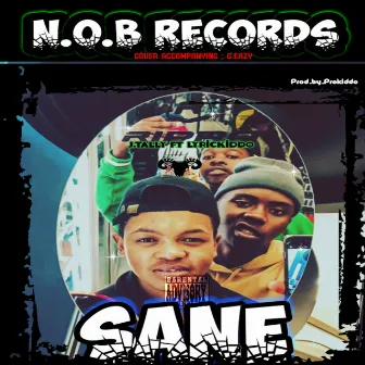 Sane by N.O.B RECORDS