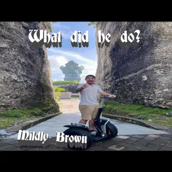 What Did He Do? by Mildly Brown