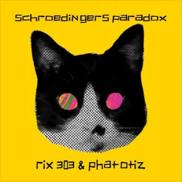 Schroedingers Paradox