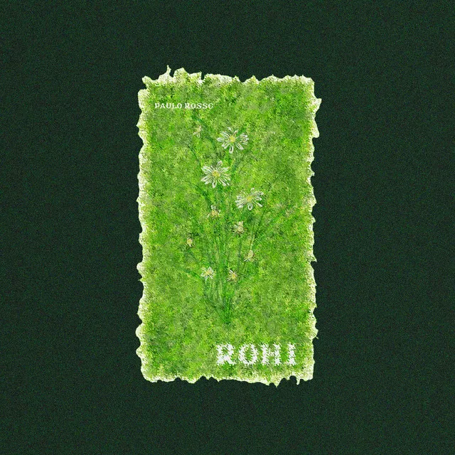 Rohi