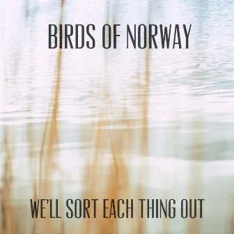 We'll Sort Each Thing Out by Birds of Norway