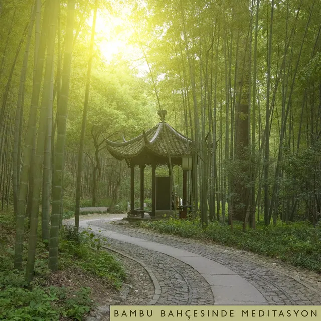 Bambu Bahçesinde Meditasyon