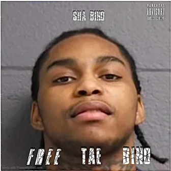 FREE TAE BINO by Sha Bino