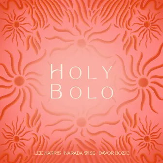 Holy Bolo by Narada Wise