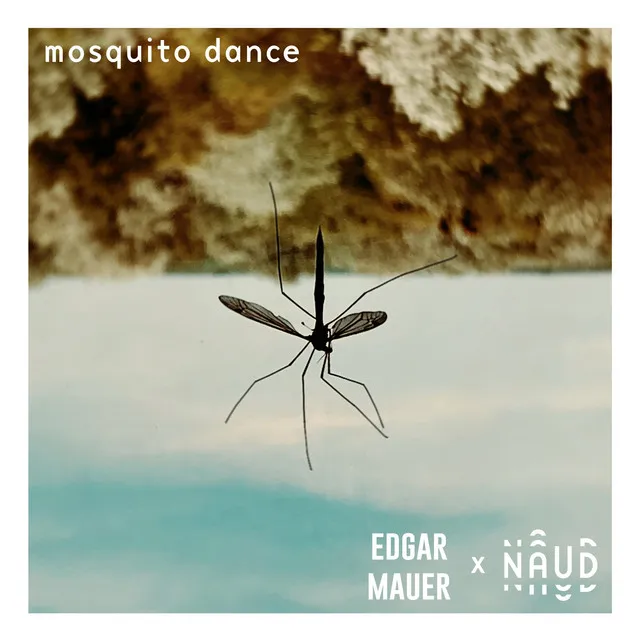 Mosquito Dance