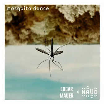 Mosquito Dance by Naud