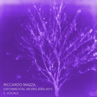 Experimental Works 2000-2015: Vocale (Disk 3) by Riccardo Mazza