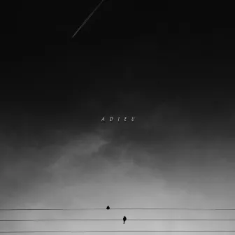 Adieu by CN