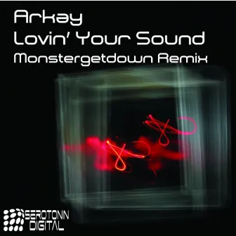 Lovin Your Sound (Monstergetdown Remix) by Arkay