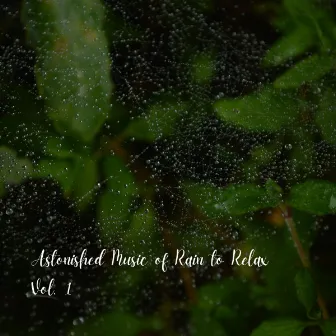 Astonished Music of Rain to Relax Vol. 1 by Sleeping Music Legends