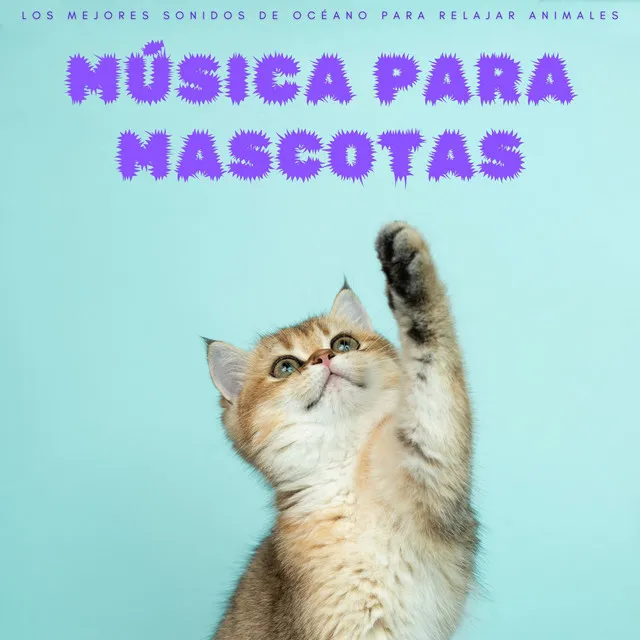 Música Para Mascotas: Los Mejores Sonidos De Océano Para Relajar Animales