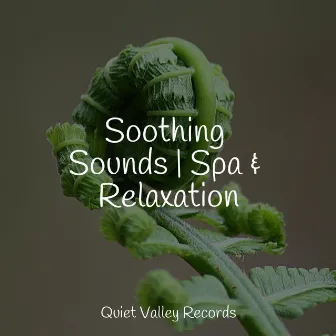 Soothing Sounds | Spa & Relaxation by Lightning