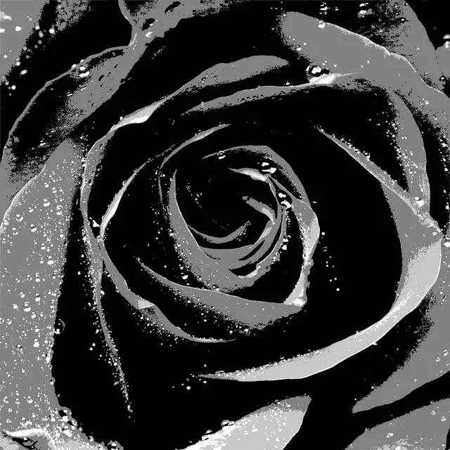 Black Roses (Instrumental)