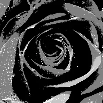 Black Roses (Instrumental) by Fresh Kid Blaze