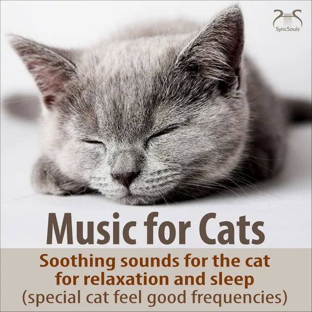 Cat Relaxing Sounds TA