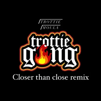 Closer Than Close (remix) by Trottie Moula