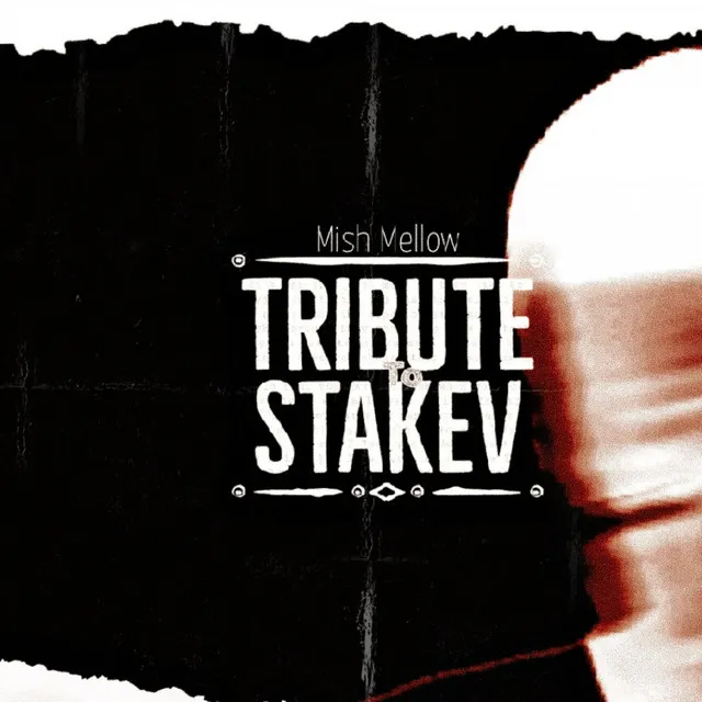 Tribue to Stakev