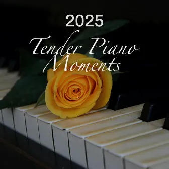 2025 Tender Piano Moments by Milosz Magin