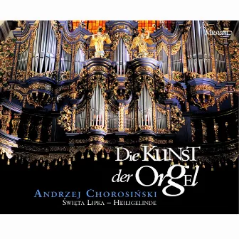 Die Kunst Der Orgel (Instrumental) by Andrzej Chorosiński