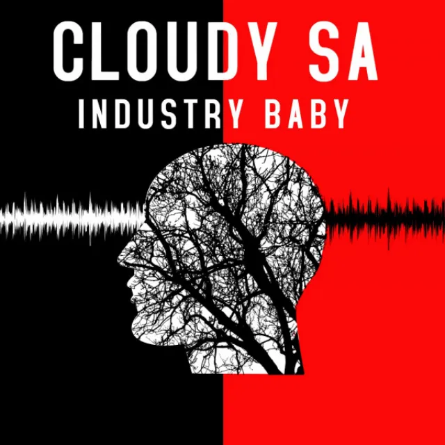 INDUSTRY BABY