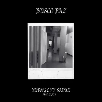 Busco Paz by Savax