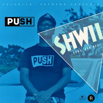 Shwii (feat. Zee Bee) by Push