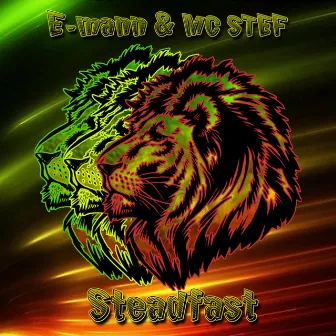 Steadfast by E-Mann