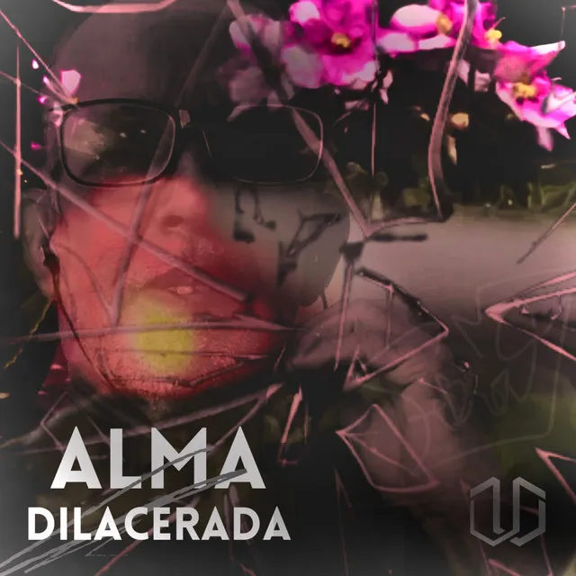 Alma Dilacerada