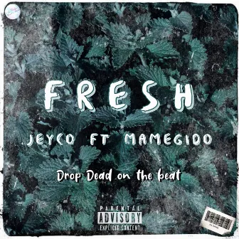 Fresh by Jeyco