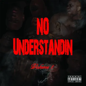 No Understandin Vol. 1 by Rook