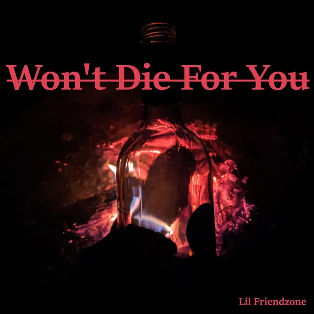 Won't Die for You