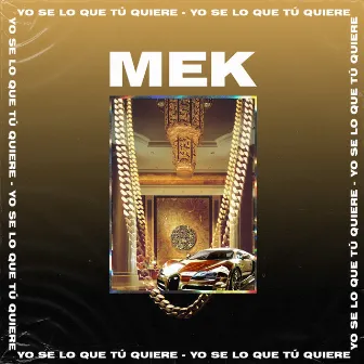 Yo Se Lo Que Tú Quiere by MEK