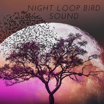 Night Loop Bird Sound by Chirping & Singing