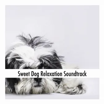 Sweet Dog Relaxation Soundtrack by Calming Dog Relaxation