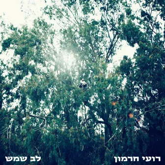 לב שמש by Roei Hermon