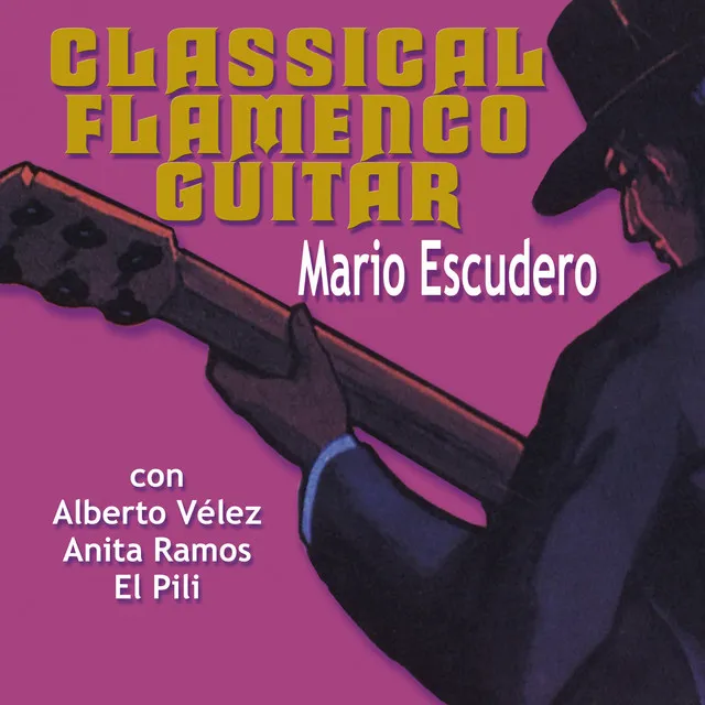 Classical Flamenco Guitar