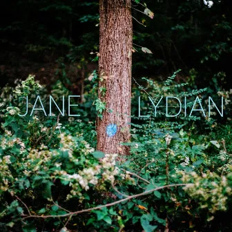 Jane by Lydian