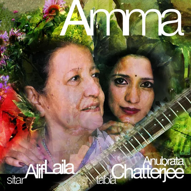 Raag Jhinjhoti Alaap / Gat in Deepchandi (feat. Anubrata Chatterjee)