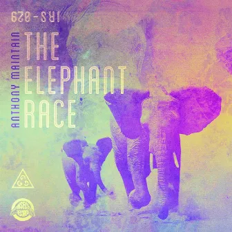 The Elephant Race by Anthony Maintain