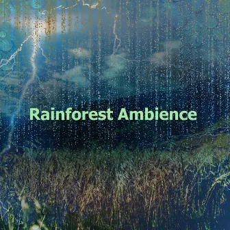 Rainforest Ambience by Rainforest Spa Music