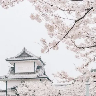 rainy day in tokyo by Shiro