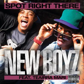 Spot Right There (feat. Teairra Mari) by New Boyz